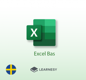 Excelkurs