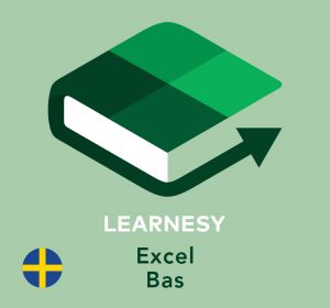Excel Bas Learnesy