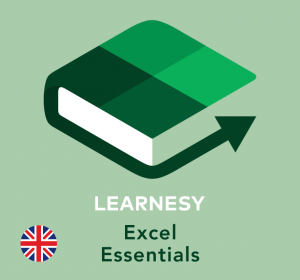 Excel Essentials course