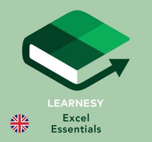 Excel Esstentials online course