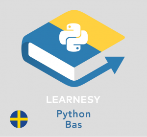 onlinekurs Python