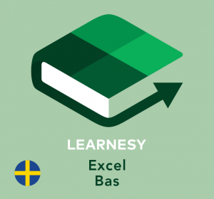 Excel grundkurs online