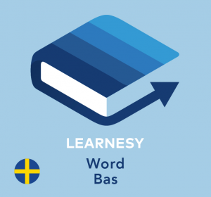 Word grundkurs online