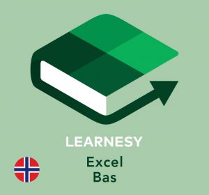 Excelkurs dansk online