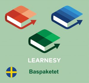 word, excel och powerpoint kurser