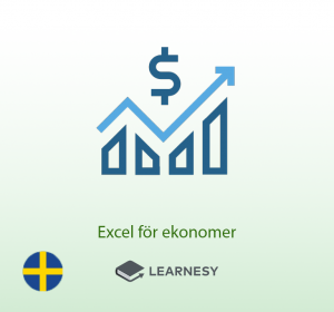 excelkurs för ekonomer