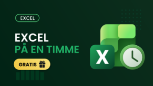 Gratis Excelkurs som lär ut grunderna i Excel på en timme.
