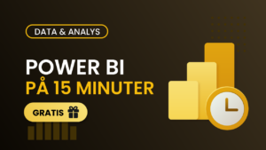 Gratis introduktion till Power BI med fokus på grunderna på 15 minuter.