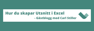 utsnitt i excel