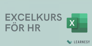 Excel för HR