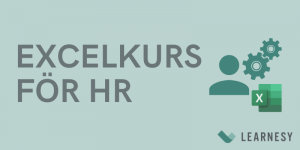 Excel för HR