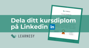 Excel Kursdiplom LinkedIn