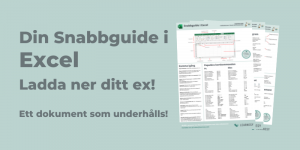 Funktionsguide i Excel