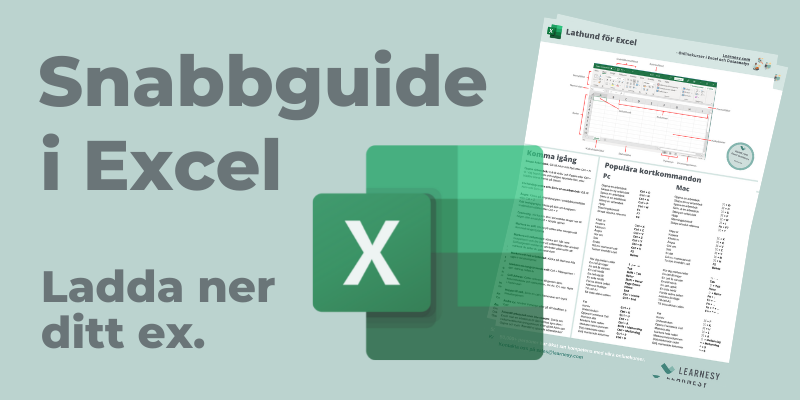 Excel snabbguide