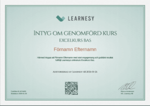learnesy-excelkurs-bas-diplom