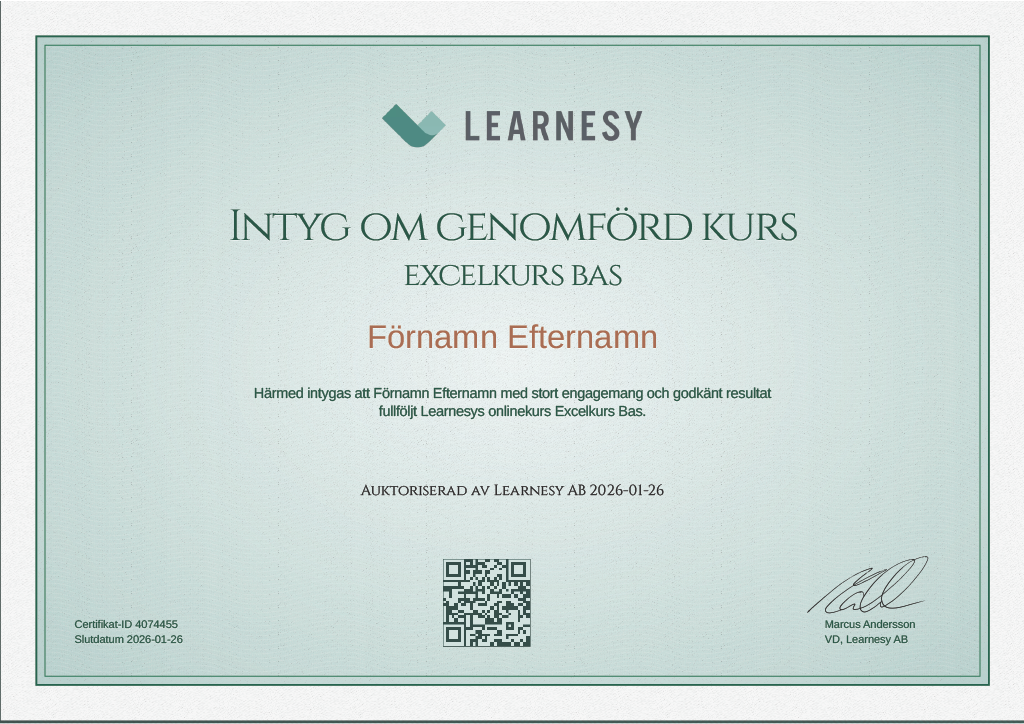 learnesy-excelkurs-bas-diplom